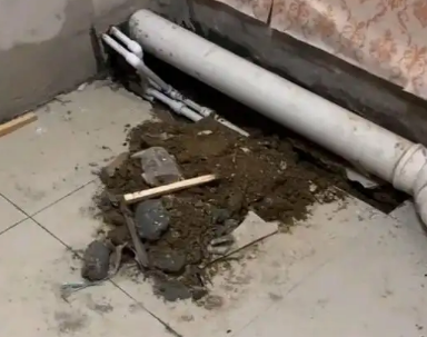 郴州卫生间漏水检测哪家好